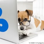 dog wearing glasses appears to be working on a laptop computer