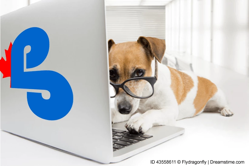 dog wearing glasses appears to be working on a laptop computer
