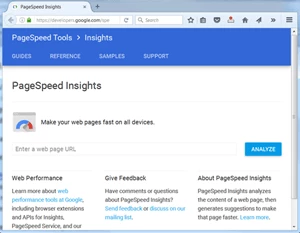 screen print of the PageSpeed Insights website
