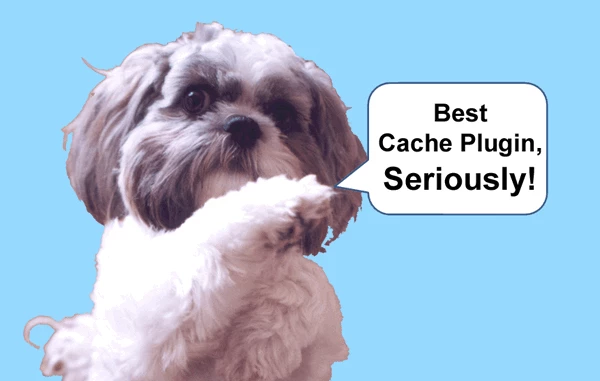 Best Cache Plugin, Seriously!