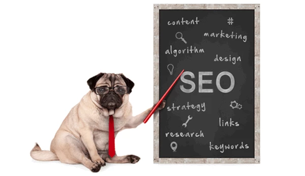 dog sitting to the left of a chalkboard pointing to the writing on it; SEO, content, marketing, etc.