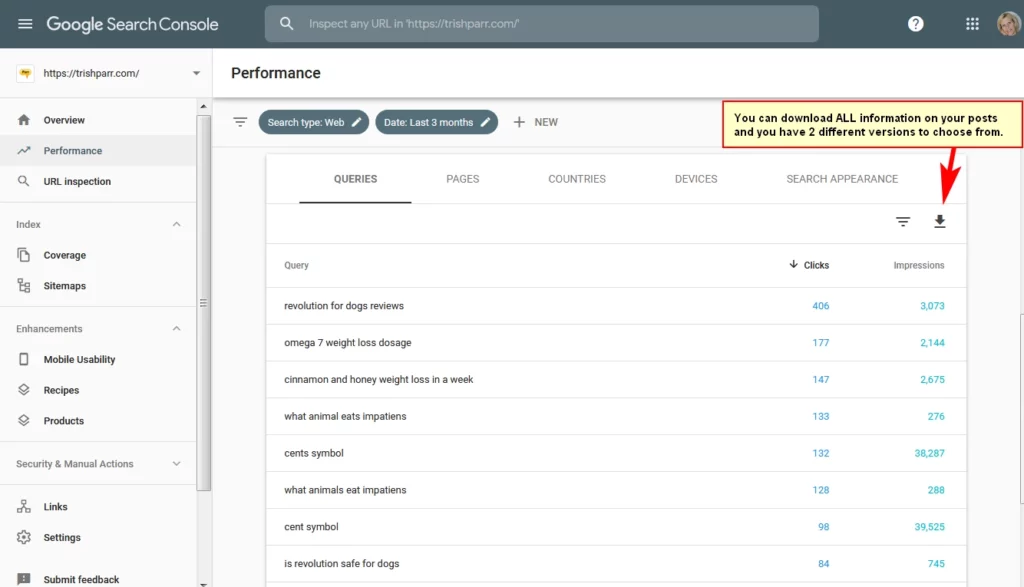 Google Search Console Performance
