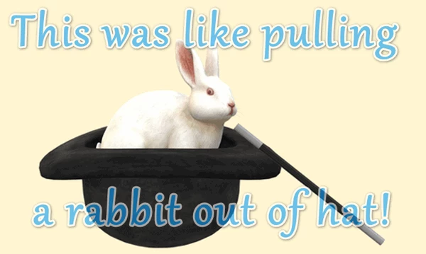 This was like pulling a rabbit out of a hat!